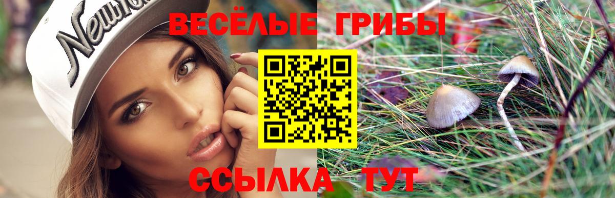 Боровичи  Галлюциногенные грибы ЛСД  Вход с VPN 